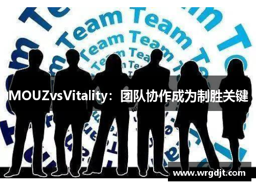 MOUZvsVitality：团队协作成为制胜关键